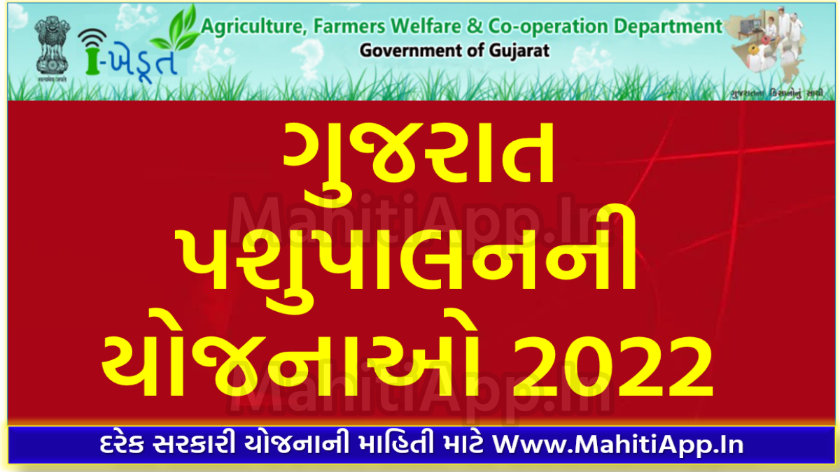 ગુજરાત પશુપાલનની યોજનાઓ 2022
